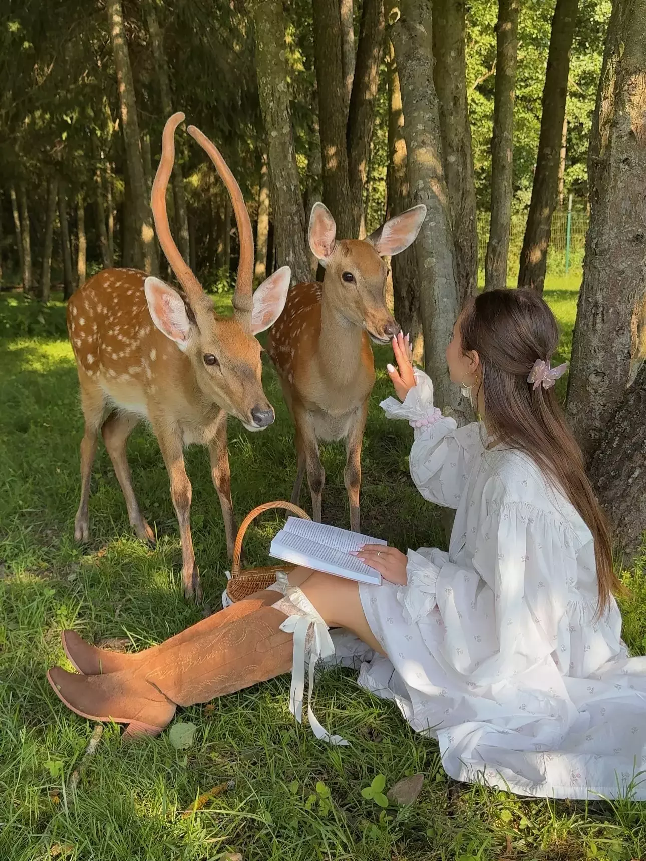 8 best creatine powders for high-performance workouts and muscle gain you should try